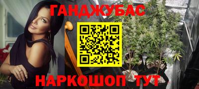 гашик Кулебаки