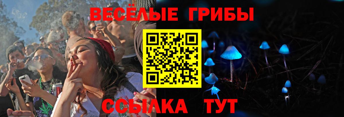 Псилоцибиновые грибы ЛСД Бутурлиновка